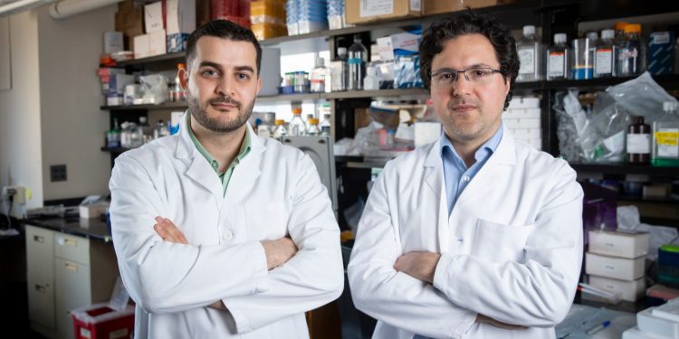 Fixing key flaw in revolutionary cancer treatment