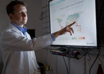 Threat of mosquito-borne diseases rises in U.S. with global temperature