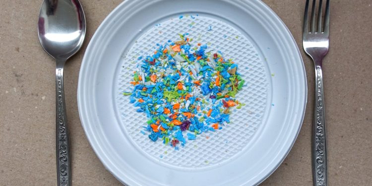 Plastics are everywhere, even in our bodies