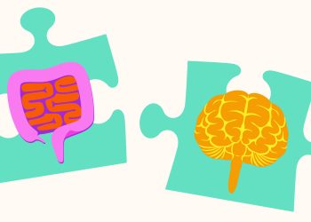 Probe the gut, protect the brain?