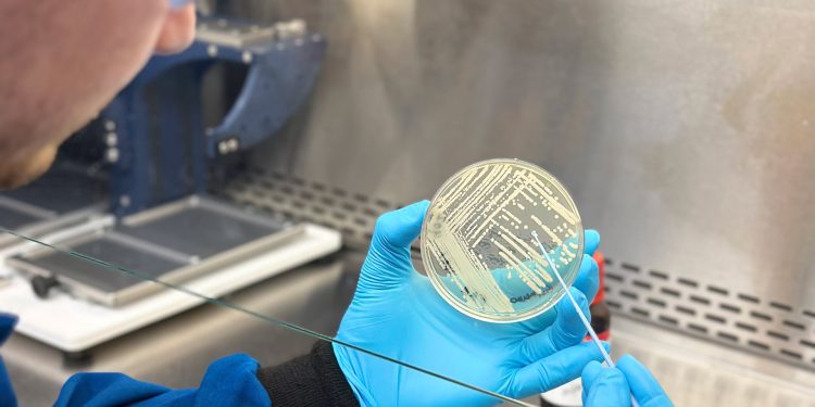 Harvard startup creating a new class of antibiotics