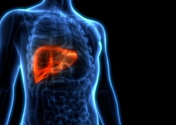 Bile imbalance linked to liver cancer