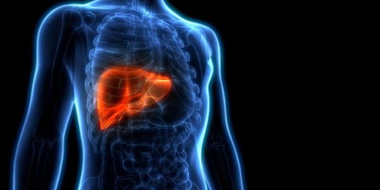 Bile imbalance linked to liver cancer