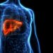 Bile imbalance linked to liver cancer