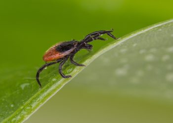 ‘Have a healthy respect that nature sometimes bites back’