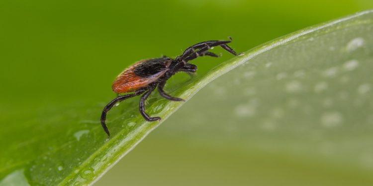 ‘Have a healthy respect that nature sometimes bites back’