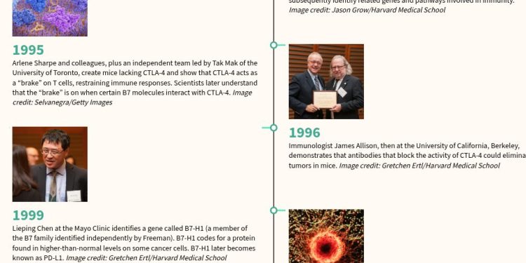 Road to game-changing cancer treatment
