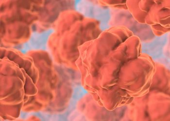 Binge drinking triggers gut damage, finds new study