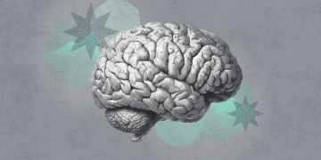 How super-agers keep their brains young