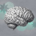 How super-agers keep their brains young